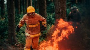 Bomberos forestales